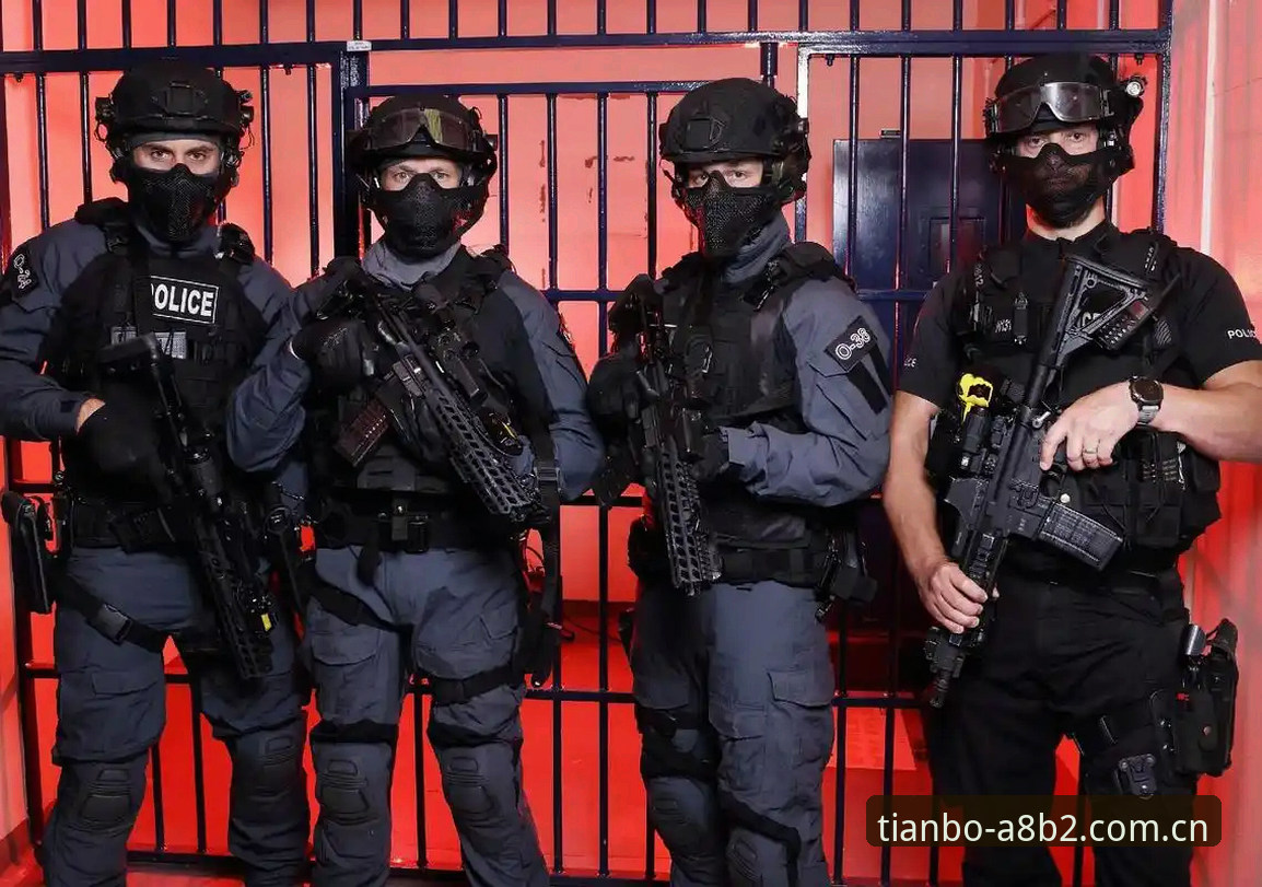 为什么英国警员只剩3人？天博体育平台揭示安保新思路